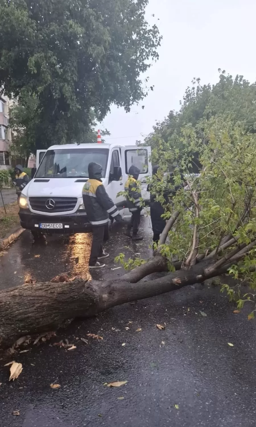 HAOS TOTAL ÎN DÂMBOVIȚA: Vântul Puternic Face Ravagii – Copaci Doborâți și Acoperișuri Zburdă Prin Aer!