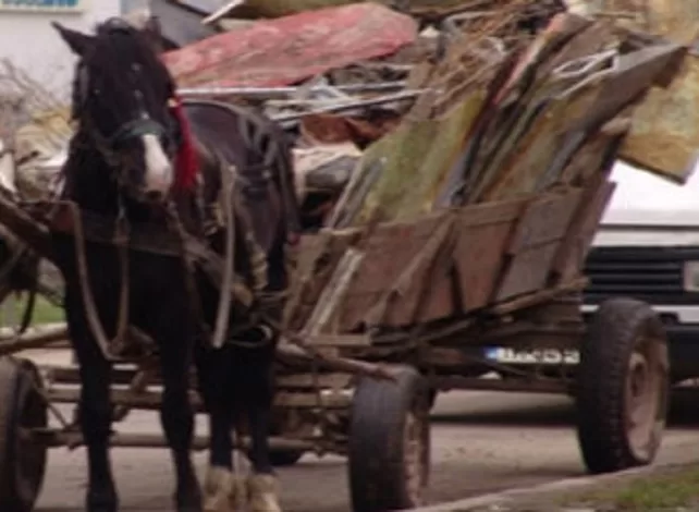 Amendă de 15.000 de lei pentru un căruțaș prins transportând ilegal deșeuri în Târgoviște