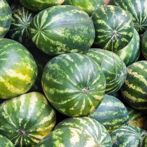 BOMBĂ pe piața alimentară: Pepeni 100% ROMÂNEȘTI lovesc rafturie la prețuri INCREDIBILE!