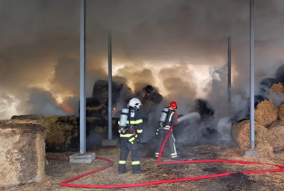Incendiu devastator în Ghirdoveni: 1.500 kg de plante furajere distruse