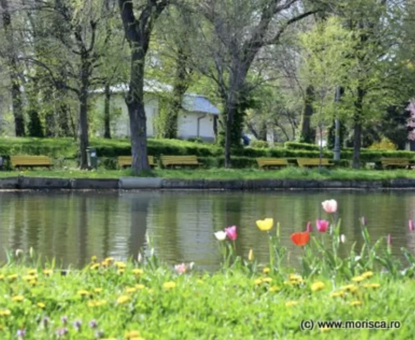 TRAGEDIE în Pitești: Bărbat găsit mort în lacul din parcul popular! Intervenție de urgență cu mai multe ambulanțe