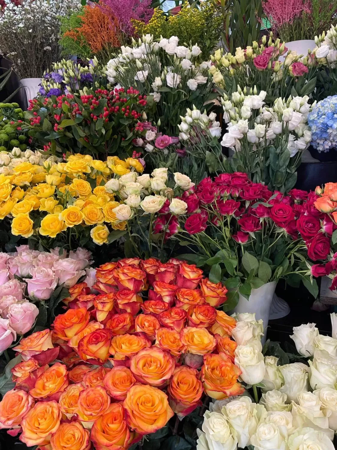 🚨 Polițiștii au „înflorit” controalele în Târgoviște, chiar în prima zi de școală! 🌸