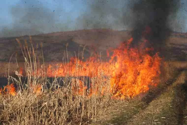 🔥 Nucet în flăcări: Primarul cere ajutorul urgent al localnicilor!