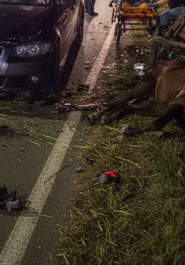 Trei răniți după impactul violent dintre o mașină și un atelaj