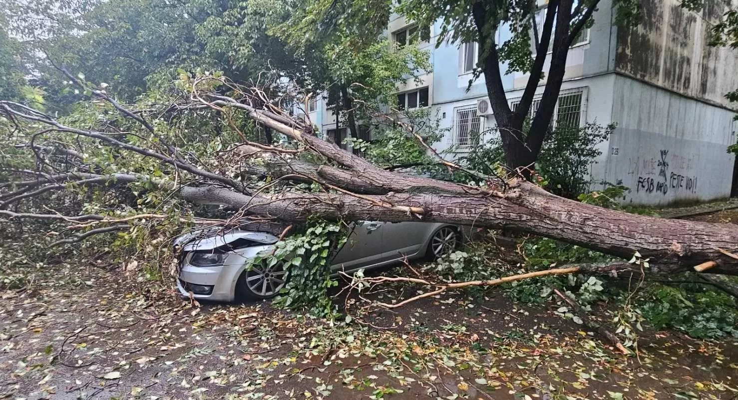 🌪️ Noapte de coșmar în România: vântul a făcut prăpăd, sute de mașini distruse și acoperișuri smulse