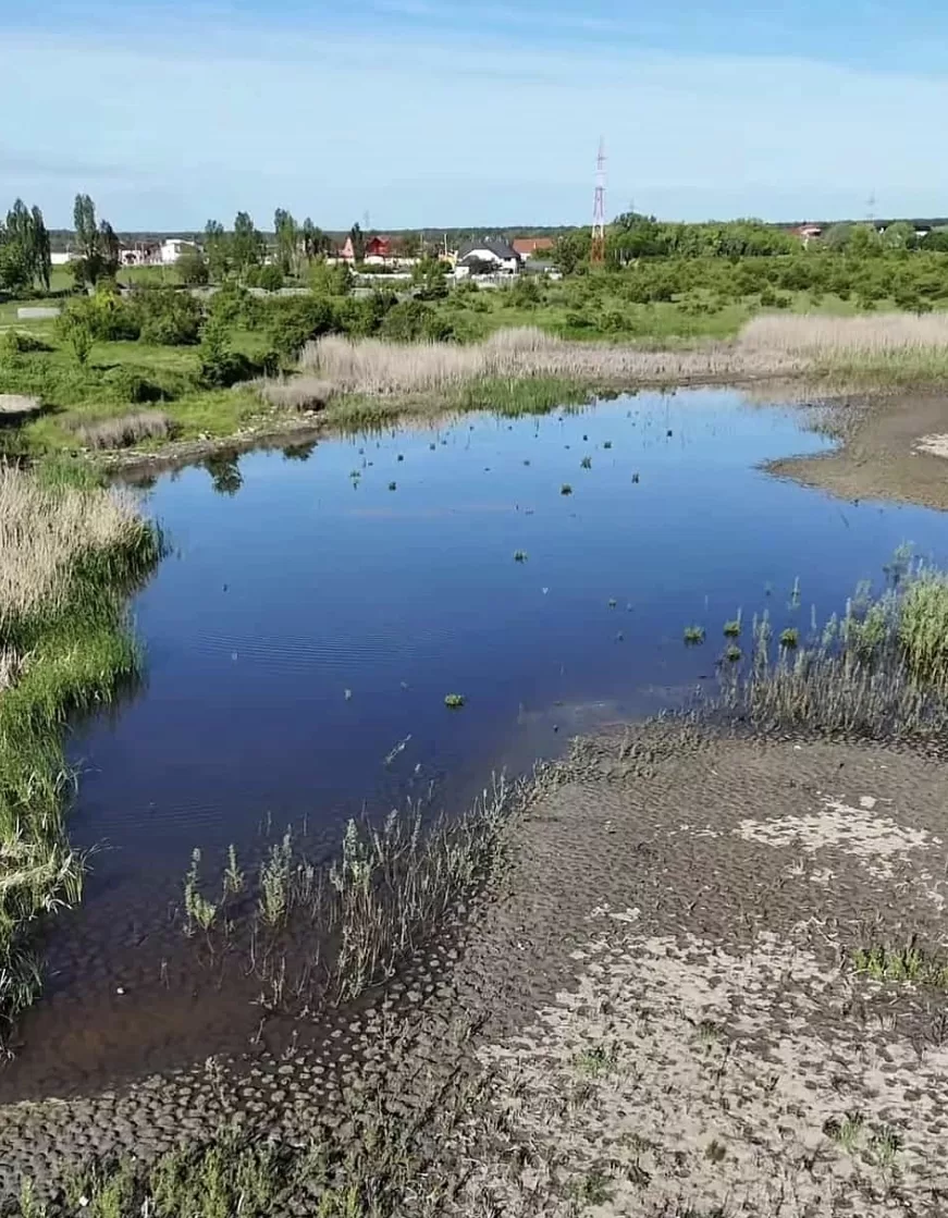 🌳💚 VESTE URIAȘĂ pentru Târgoviște! Se construiește un PARC SPECTACULOS în Priseaca! 🎉🚴‍♂️