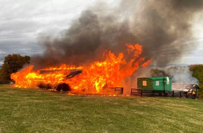 Tragedia de la Băicoi: Flăcările consumă un saivan, lăsând în urmă o victimă carbonizată!