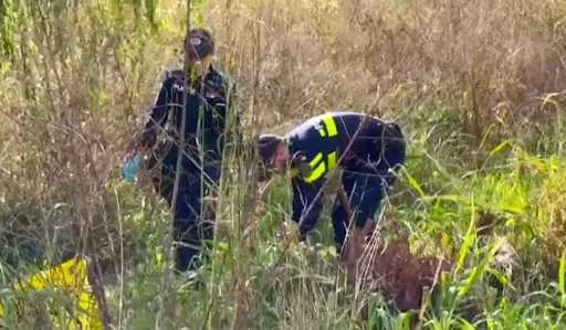 Copilaș de 3 ani găsit fără viață într-un canal, primele indicii arată un posibil atac canin