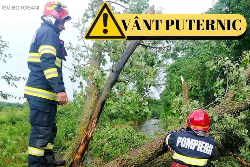 Alertă Vreme: Cod Galben de Vânt pentru Județul Dâmbovița – Măsuri Importante de Precauție!