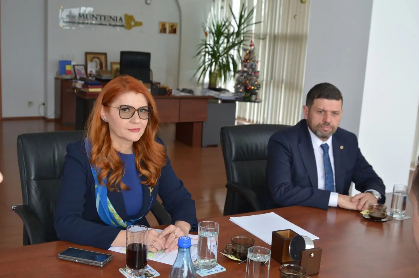 Investiții Majore în Regiunile Sud-Muntenia