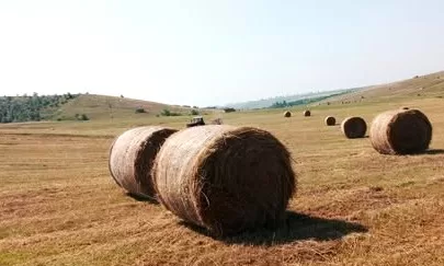 Băiețel de 7 ani, UCIS de un balot de fân!
