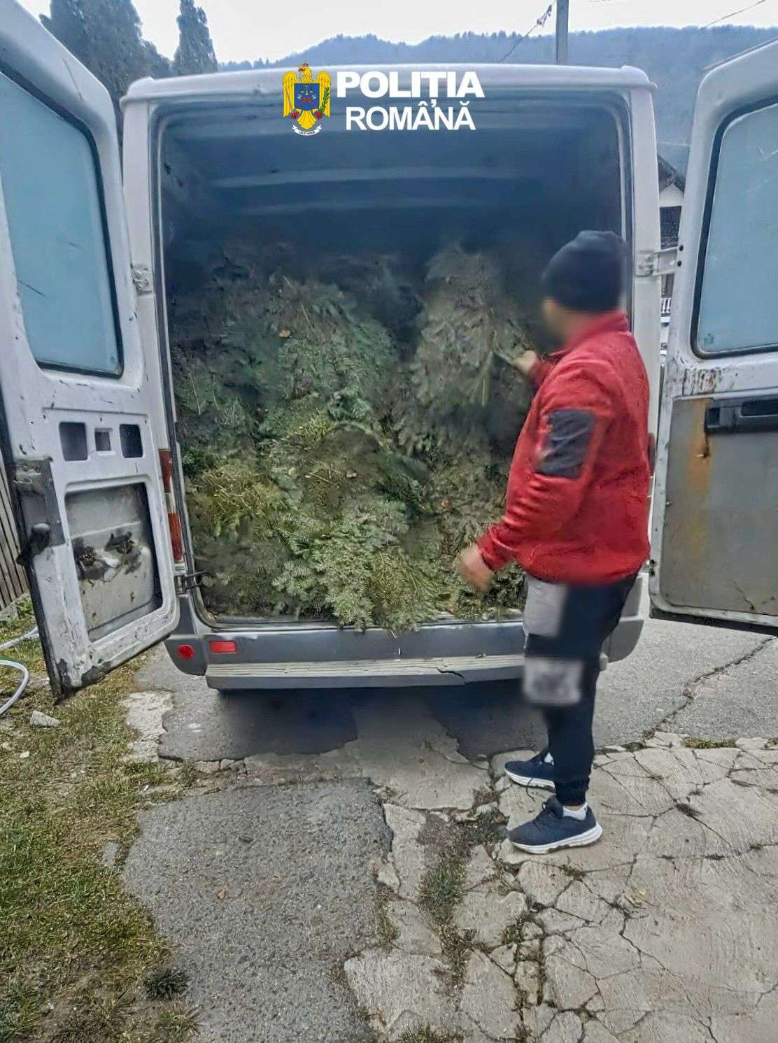 🌲 POLIȚIȘTII DÂMBOVIȚENI AU blocat un transport ilegal de cetină în Moroeni! 🚔