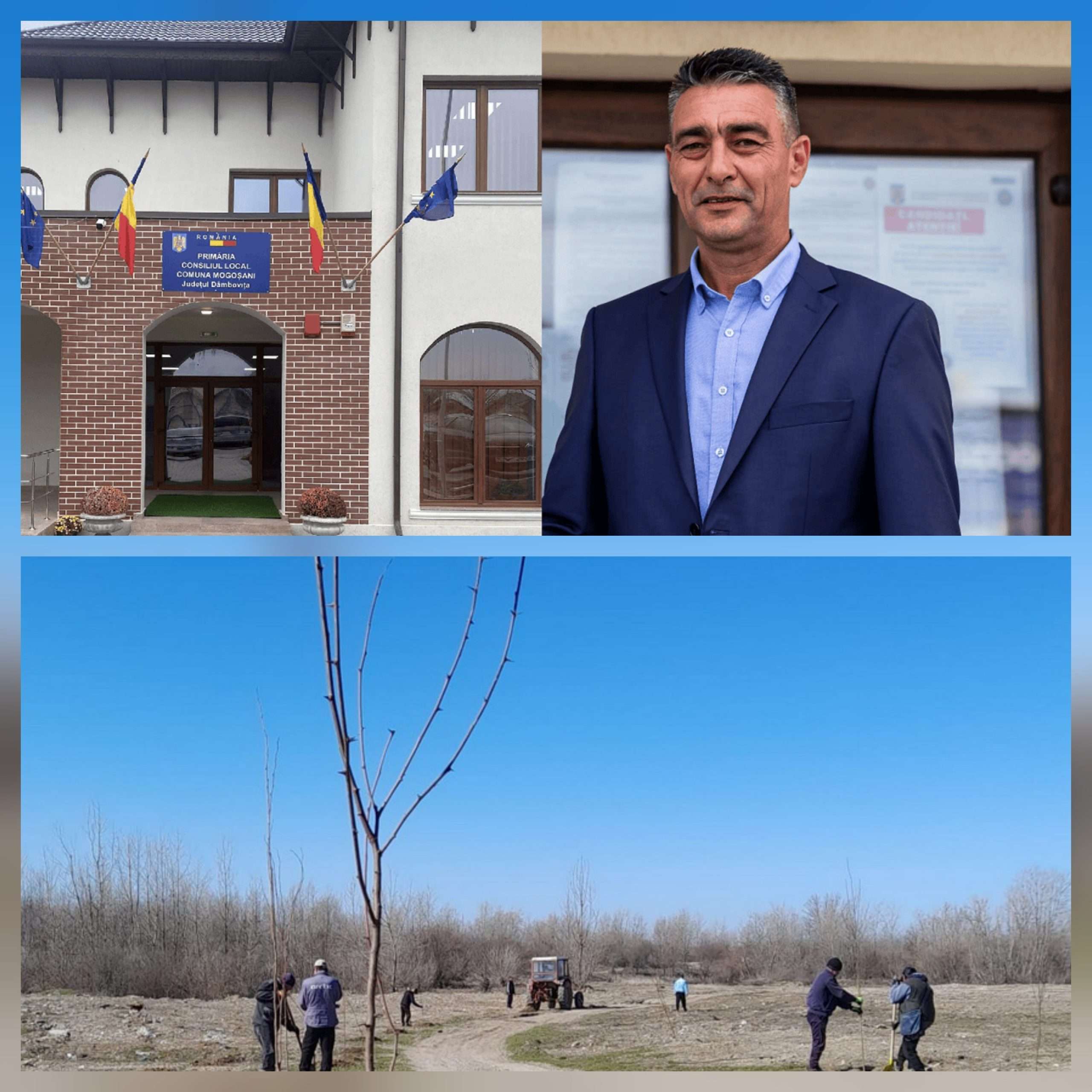 Comuna Mogoșani devine verde: peste 1.200 de arbori plantați pentru viitorul copiilor!