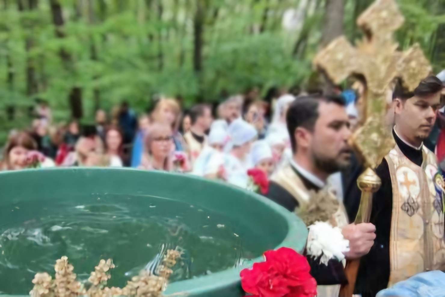 Minunea Izvorului Tămăduirii în Dâmbovița: Puterea apei sfințite care vindecă suflete