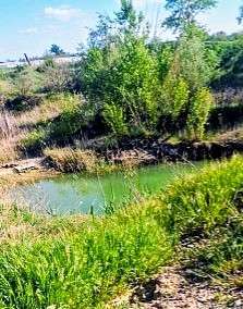 Tragedie fără margini în Vrancea! Un băiețel de 4 ani a fost găsit mort într-o baltă!
