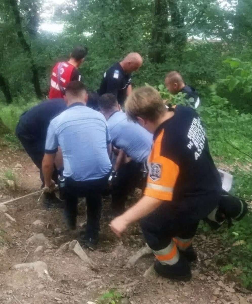 Tragedie în Harghita: Bărbat de 65 de ani, găsit mort în pădure după un atac de urs!