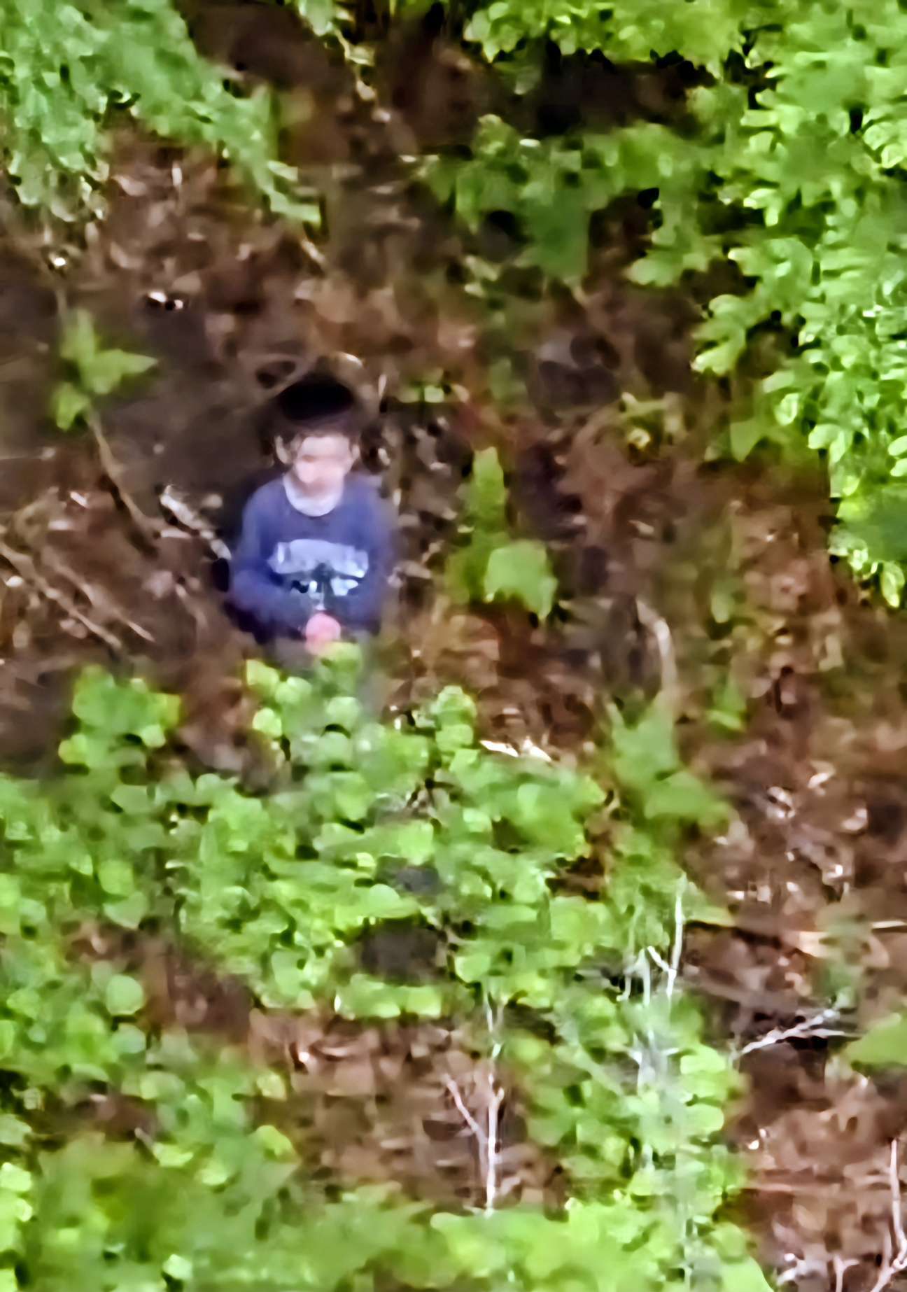MIRACOL în Sibiu: Alexandru a fost găsit în viață după 3 zile de căutări în pădure!