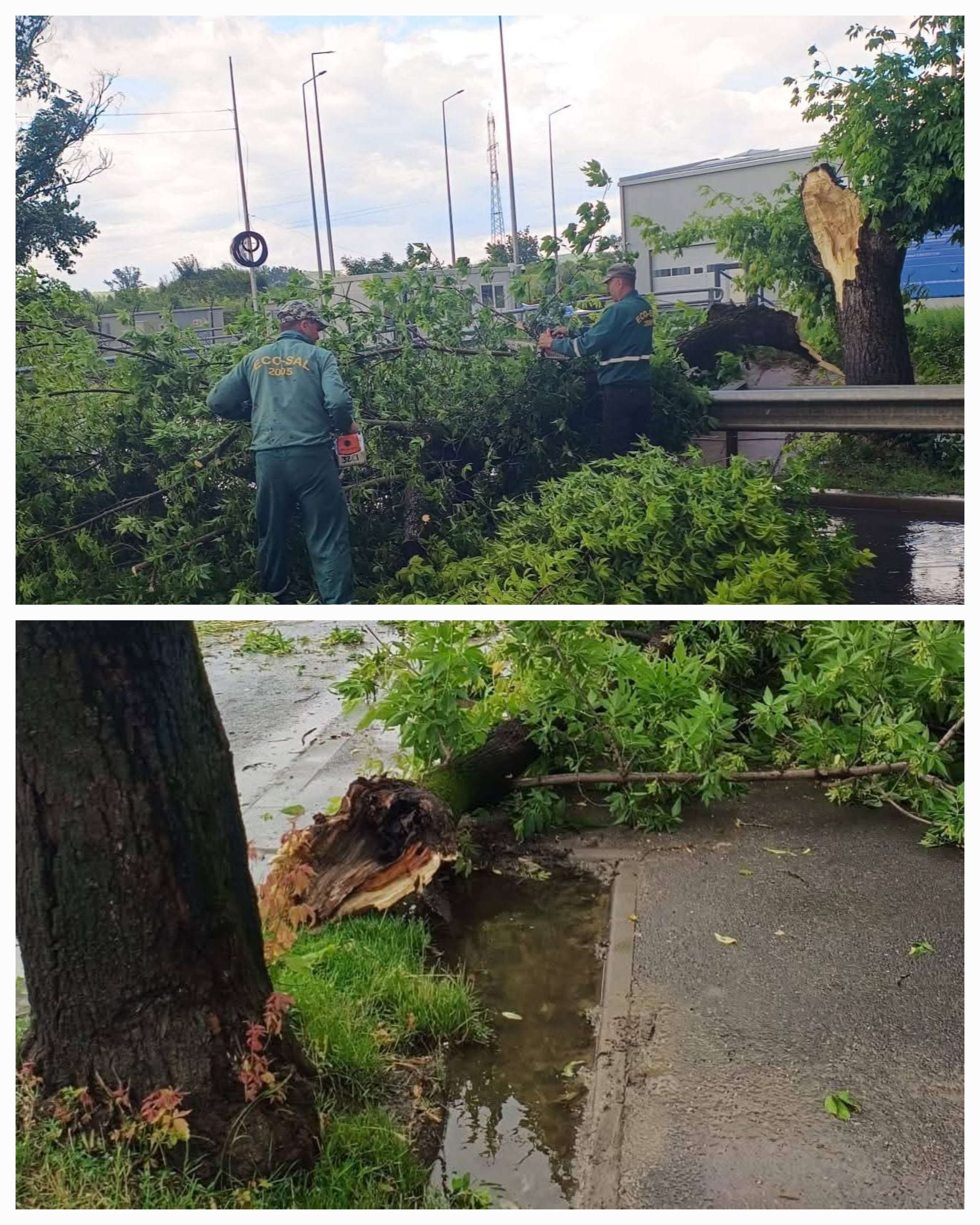 Furtună violentă în Târgoviște! Echipele Primăriei intervin de urgență în oraș