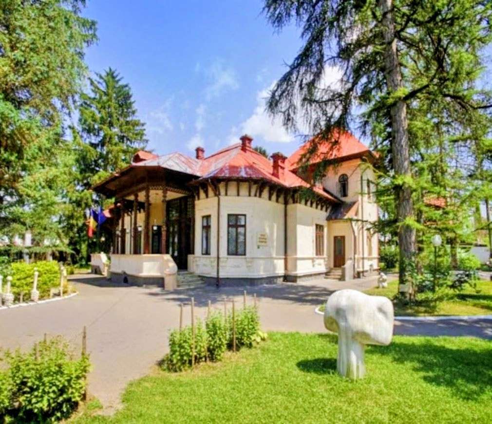 Atenție, turiști! Muzeele din Dâmbovița se închid rând pe rând în aceste zile. Iată programul!