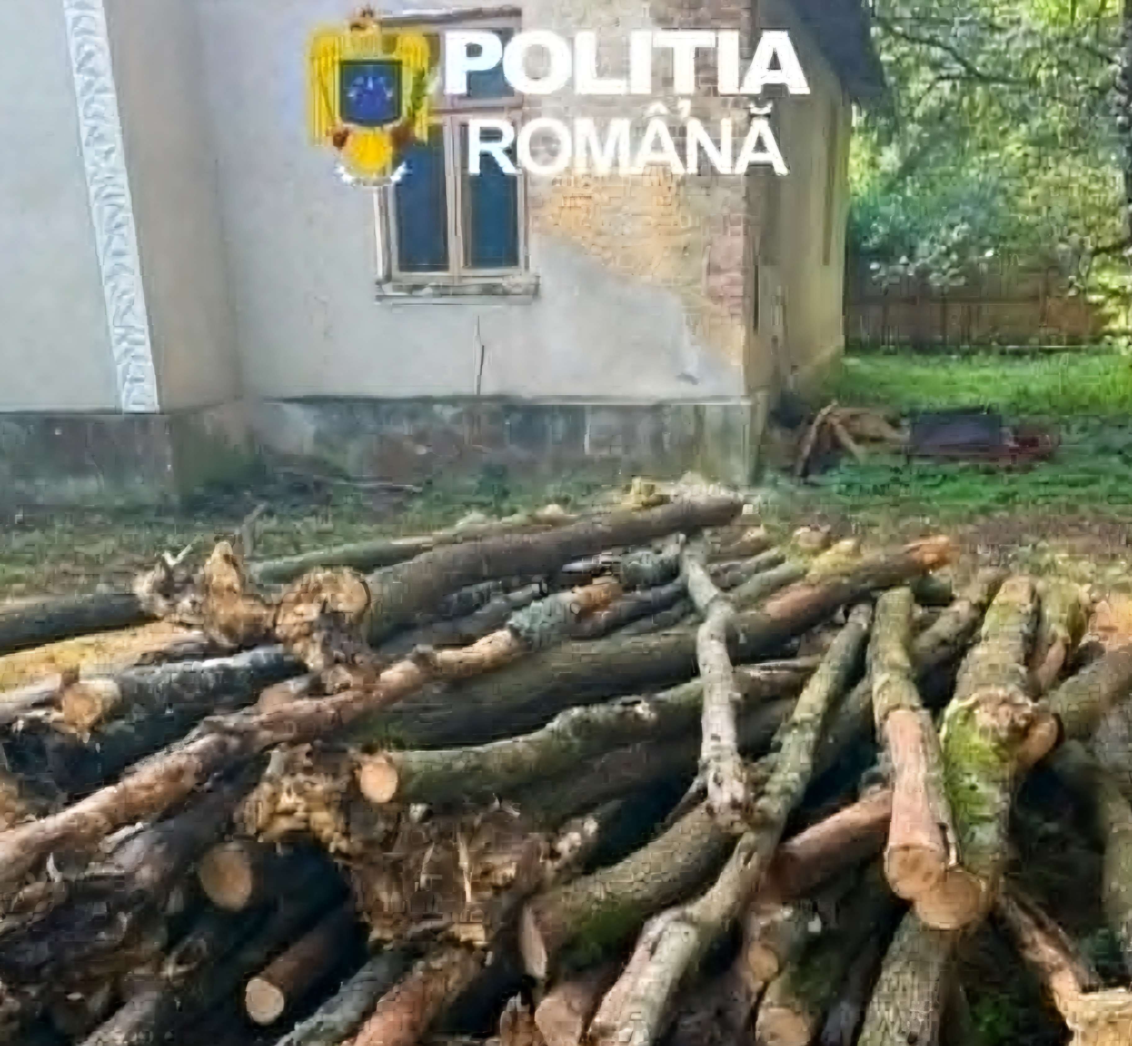 Prins cu căruța plină de lemne tăiate ilegal! Amendă uriașă pentru un dâmbovițean