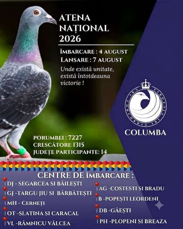 Rezultate istorice la Atena Național 2026! Columbofilii din Găești domină maratonul!