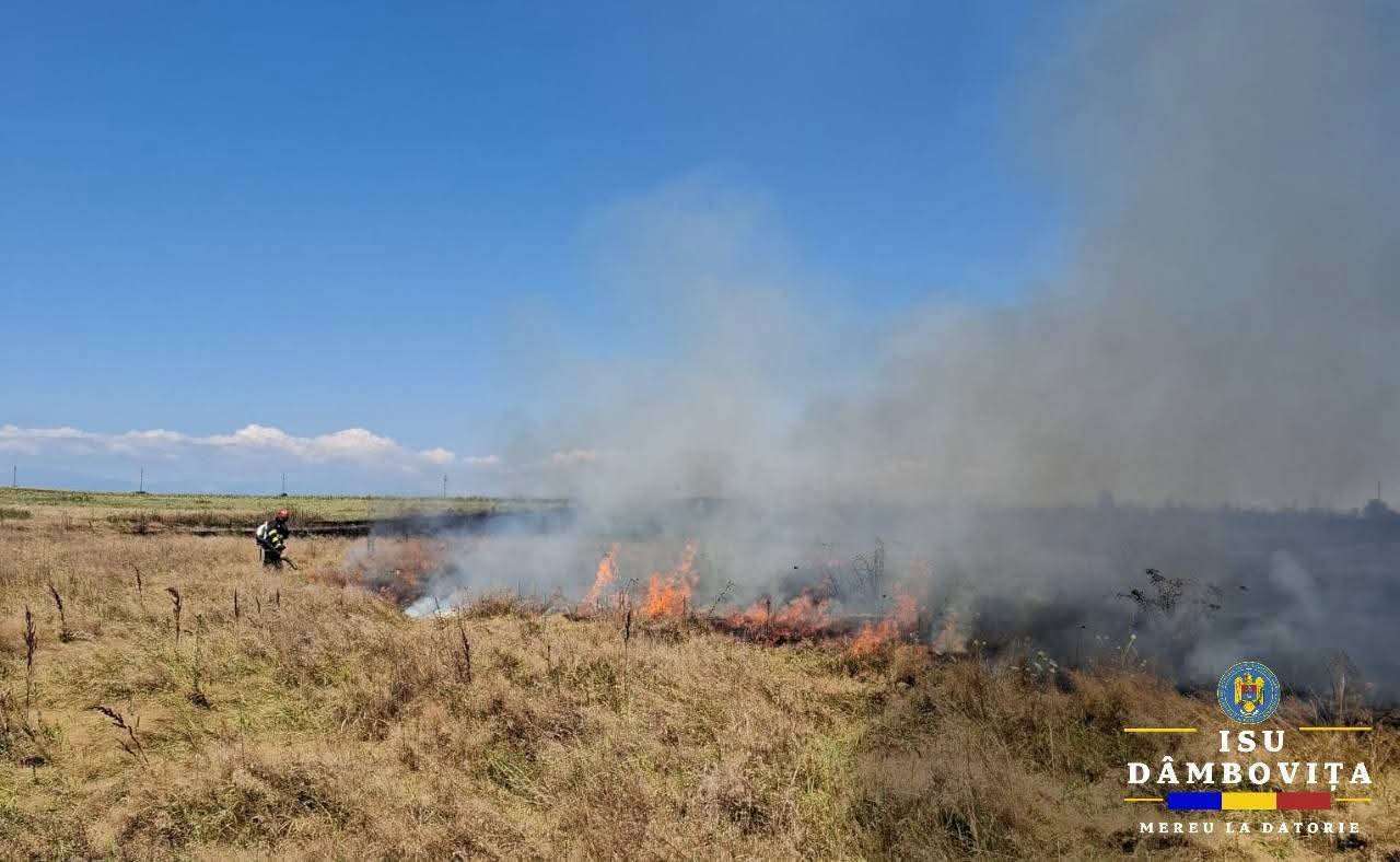 Pompierii din Dâmbovița, intervenții în lanț! Incendii masive de vegetație în mai multe localități