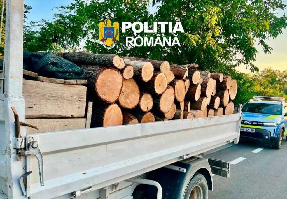 Prinși pe DJ 712 A și DJ 720 A: Transporturi ilegale de lemn confiscate de polițiști!