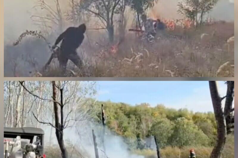 Pompierii dâmbovițeni s-au luptat ore în șir cu flăcările! 5 incendii de vegetație au izbucnit în județ